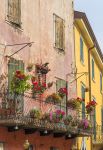 Un balcone fiorito nel centro storico di Torri del Benaco, Verona, Veneto. Questo grazioso borgo sorge sulla media costa del Lago di Garda, al confine con Garda a sud e Brenzone sul Garda a ...
