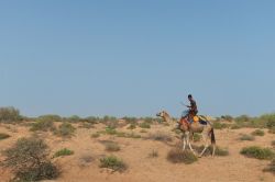 Un giovane mauritano cavalca un dromedario nel deserto poco fuori Nouakchott - © Senderistas / Shutterstock.com