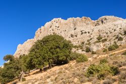 Un massiccio calcareo del Superamonte di Oliena in Barbagia (Sardegna).