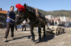 Un uomo bulgaro aiuta il suo cavallo durante la celebrazione "Todorovden" a Chepelare: si tratta della Pasque dei Cavalli - © GEORGID / Shutterstock.com