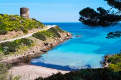 Una bella spiaggia e la Torrre Spagnola dell'Isola dell' Asinara in Sardegna