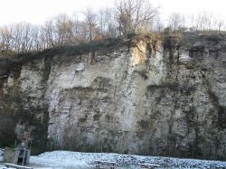 Una cava di roccia calcarea vicino a Rovolon, in Veneto - © GDelhey - CC BY-SA 3.0, Wikipedia