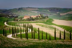 Una fattoria nelle campagne di Asciano nel magico paesaggio delle Crete Senesi della Toscana - © ronnybas / Shutterstock.com