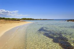 Una spiaggia della costa salentina a Torre Pali, provincia di Lecce, Puglia. Da Torre Pali a Pescoluse il litorale è caratterizzato da un mare così limpido e trasparente da far ...