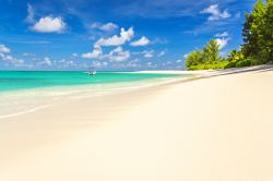 Uno splendido panorama della Virgin Beach Laguna a Denis Island, Seychelles. Questo piccolo gioiello 90 km a nord est di Mahè sorge dal mare con una caratteristica forma a mezzaluna.
 ...