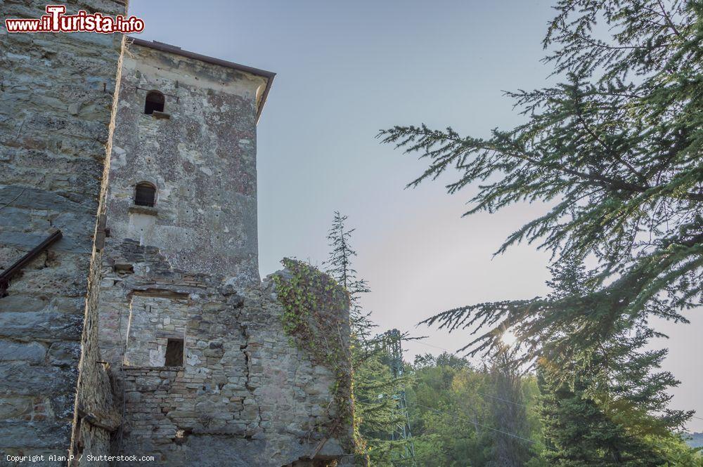 Immagine Rocca San Casciano, Romagna: le rovine dell'antico Castello - © Alan.P / Shutterstock.com