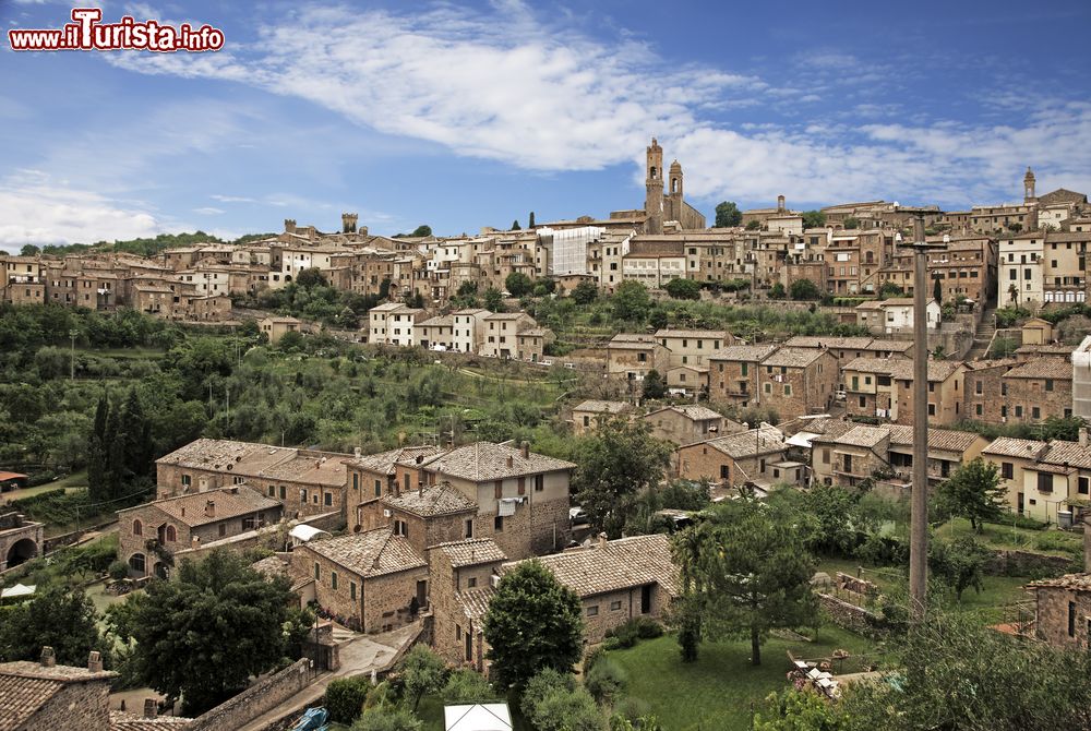 Immagine Veduta panoramica del centro storico di Montalcino, borgo spettacolare della Toscana