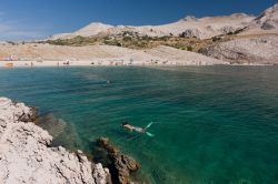 Snorkeling a Pag in Croazia. I forti venti di bora matengono le coste orientali di questa isola della Dalmazia prive di vegetazione, conferendo un aspetto quasi lunare alle spiagge. Le rocce ...