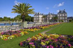 Aiuole fiorite ai Jardin du Luxembourg in centro ...