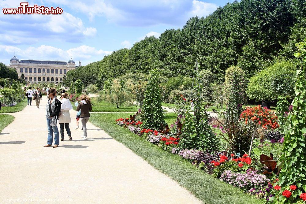 Immagine Passeggiata nel giardino botanico dei Jardin Des Plantes di Parigi. - © Tupungato / Shutterstock.com