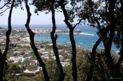 Vista panoramica sulla città dai Giardini La Mortella (Isola di Ischia, Campania).