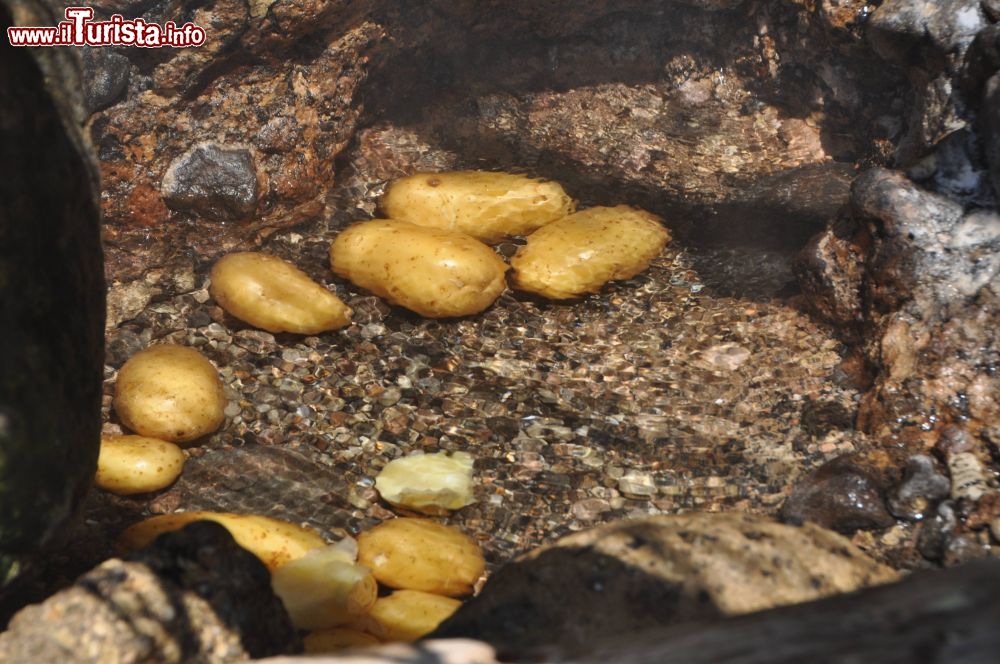 Immagine I turisti cuociono delle patate nelle acque calde del mare presso le sorgenti termali del Sorgeto ad Ischia