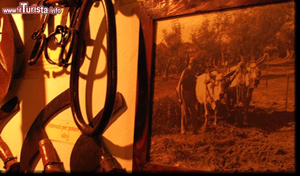 Immagine Attrezzi contadini esposti al Museo Storico di Gradara