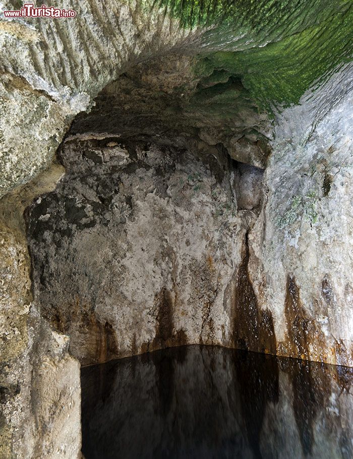 Immagine Grotta con acque termali alle Terme di Cavascura di Barano d'Ischia, Campania