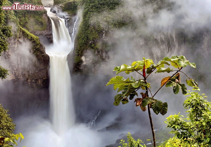 San Rafael Falls, Ecuador - Sono le cascate più alte e spettacolari di tutto l'Ecuador, la piccola, ma molto interessante, nazione andina. Le cascate San Rafael compiono un salto di oltre 150 metri, e la notevole portata delle acque creano una sorprendente ed affascinante dimostrazione di potenza della natura. Le cascate si trovano ai piedi di un vulcano molto attivo il Reventador, che si erge dalla giungla amazzonica ad est della cordigliera della Ande. Prestate però attenzione durante l'osservazione delle cascate: una croce qui commemora la morte di un turista canadese che scivolò e precipitò nel vuoto, mentre fotografava il magico scenario. Le cascate sono inoltre in pericolo: ci sono progetti di intercettare le sue acque, per uso idroelettrico    -  © Dr. Morley Read / Shutterstock.com
