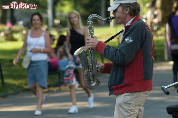 Immagine Vondelpark Amsterdam: musicisti di strada