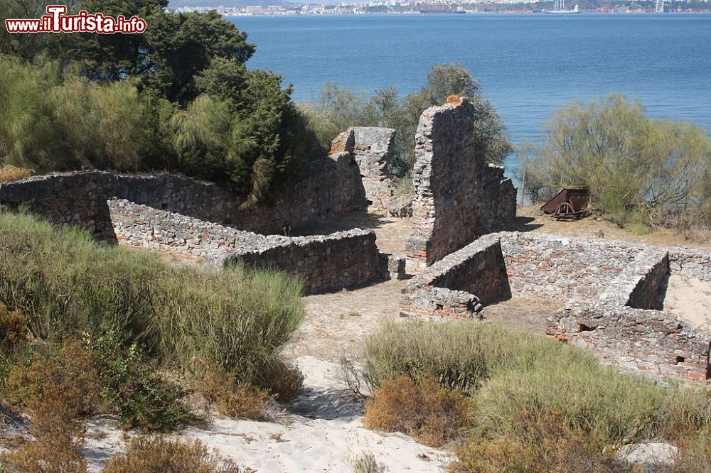 Immagine Le rovine romane di Troia vicino a Grandola, Alentejo (Portogallo) - © Koos van den beukel, CC0, Wikipedia