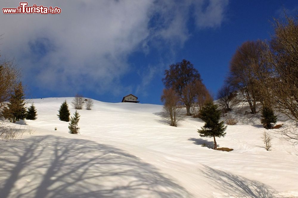 Immagine Scorcio invernale di Pertica Alta, località alpina in Lombardia - © Francesco Zanardini, CC BY-SA 3.0, Wikipedia