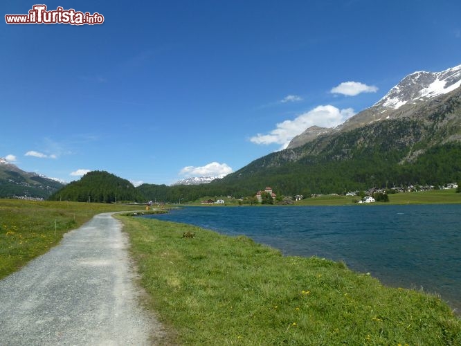 Immagine Passeggiata lungo lago a Silvaplana