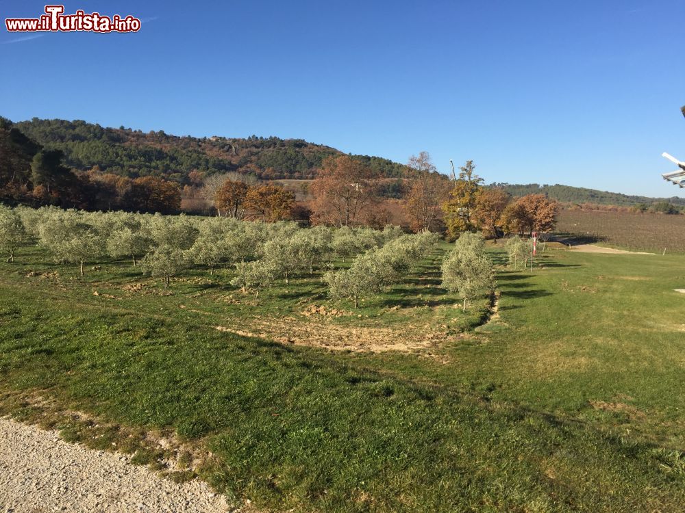 Immagine Il paesaggio intorno a  Le Puy Sainte Reparade in Provenza