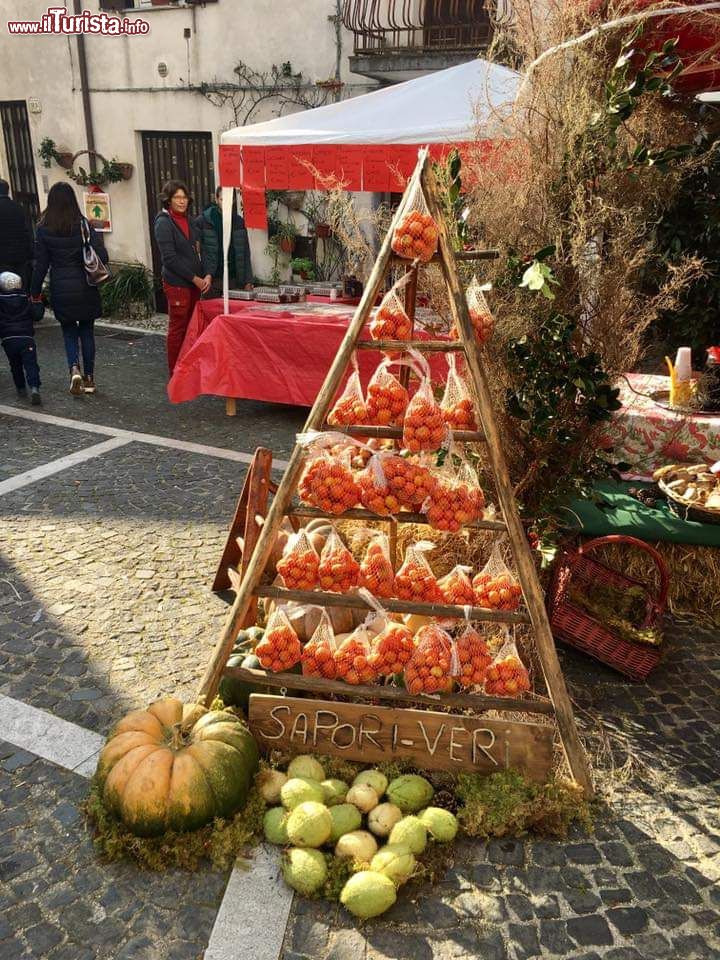 Immagine Una manifestazione a San Potito Sannitico in Campania