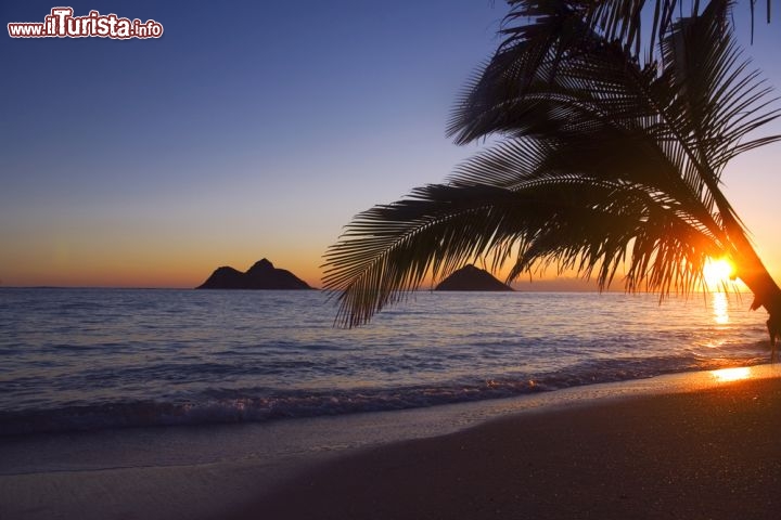 Immagine Alba a Lanikai beach. Ci troviamo sull'isola di Oahu alle Hawaii  - © tomas del amo / Shutterstock.com