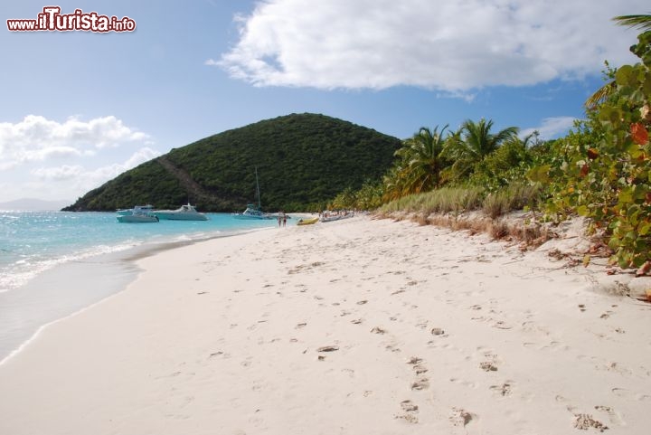 Immagine Ampio arenile a Jost Van Dyke, la più occidentale delle Isole Vergini Britanniche - © Joel Blit / Shutterstock.com