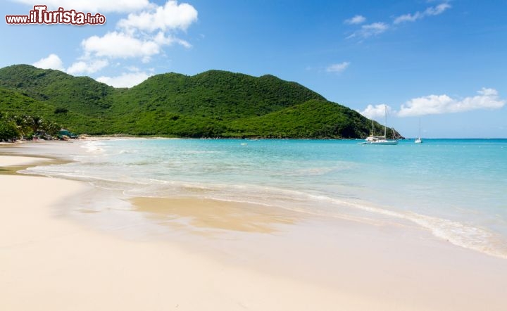 Immagine Anse Marcel è una splendida spiaggia della porzione settentrionale dell'isola di Saint Martin, Piccole Antille - © Steve Heap / Shutterstock.com