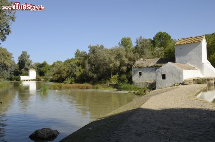 Immagine Antico Mulino della regione di Alcala de Guadaira in Andalusia, Spagna - © monysasu / Shutterstock.com
