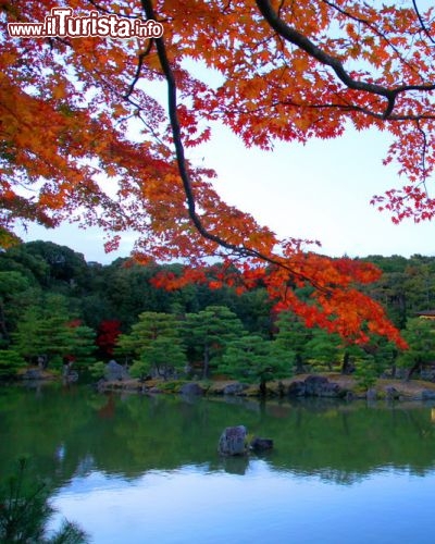 Immagine Foliage autunnale a Kyoto, Giappone - Tra Settembre e Ottobre la natura si tinge di giallo, rosso e arancione offrendo spettacoli incredibili: una esplosione di colori ch si riflette anche sull'acqua come in questa immagine scattata in un parco di Kyoto © prasit chansareekorn / Shutterstock.com