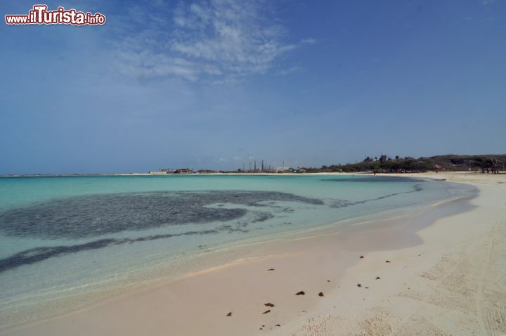 Immagine Baby beach, questa spiaggia che come dice il nome è adatta ai babini, si trova sulla punta sud-orientale d spiaggia Aruba, ed  riparata dai venti alisei e presenta sovente le acque calme, e senza correnti