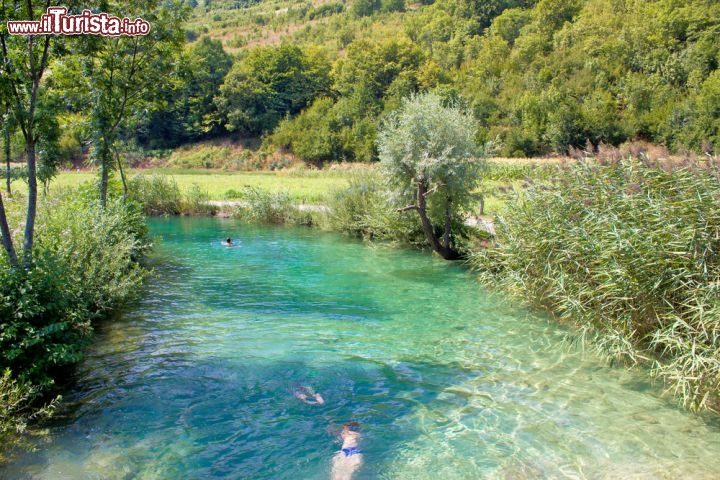 Immagine Un bagno nel fiume Korana, Plitvice - A valle della confluenza con il Plitvice (da cui prende nome l'intera area protetta e dove si trova anche la cascata più alta di tutto il parco della Croazia), il Matica, dopo l'ultimo dei laghi inferiori, cambia la sua denominazione in Korana. In questa immagine un bagno ristoratore nelle acque limpide e cristalline di questo fiume immerso nel verde © xbrchx / Shutterstock.com