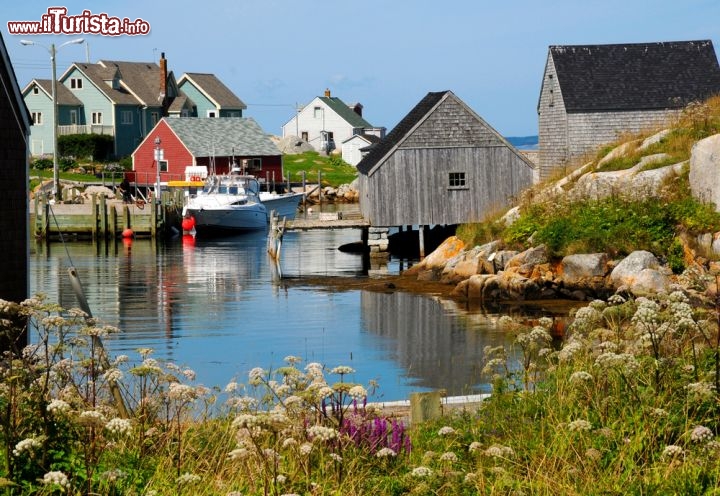 Immagine La Baia di Peggy's Cove, in Nuova Scozia (Canada), e i suoi colori accesi: il blu del mare e del cielo contratano con le tinte neutre del legno e con le pareti variopinte di alcune case tipiche. Lungo la baia sono ormeggiate le barche dei pescatori, pronte a una giornata di pesca nel golfo di St. Margarets - © s duffett / Shutterstock.com