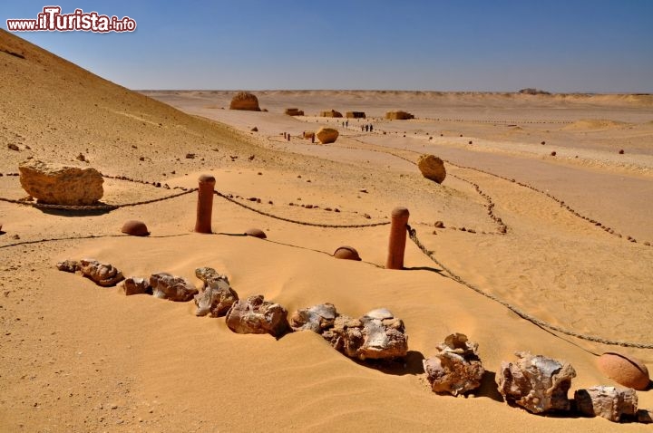 Immagine Balena fossile vicino al centro visitatori del Parco Nazionale di Wadi al-Hitan, uno dei patrimoni dell'UNESCO dell'Egitto - In collaborazione con I Viaggi di Maurizio Levi