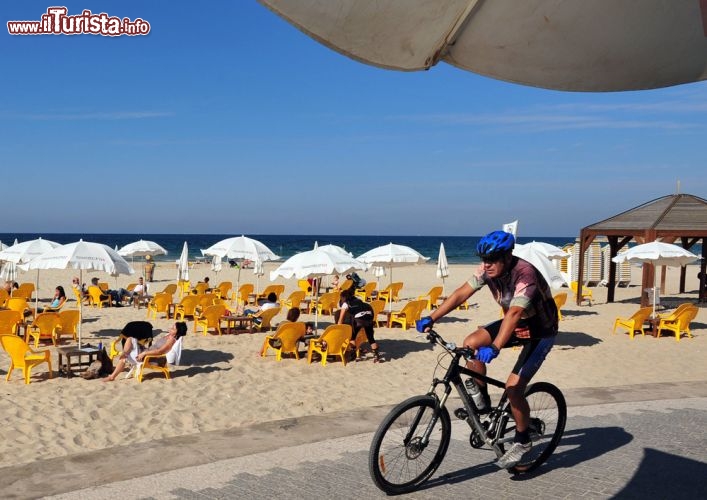 Immagine Una biciclettata sul lungomare di Tel Aviv, Israele, che per il National Geographic vanta alcune delle spiagge più belle del mondo e secondo la Lonely Planet si piazza al 7° posto nella classifica delle mete balneari migliori del pianeta, dopo Rio de Janeiro e Sydney - © ChameleonsEye / Shutterstock.com