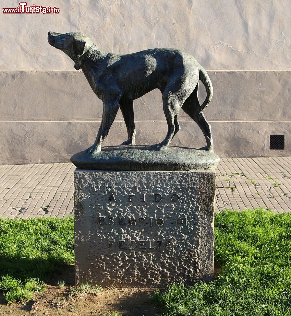 Immagine Monumento al cane fido in centro a Borgo san lorenzo - © Sailko - CC BY 3.0, Wikipedia