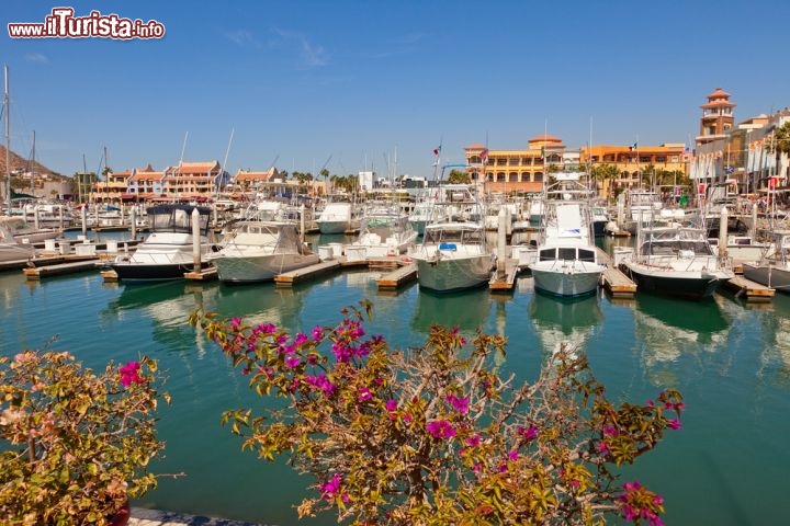 Immagine Cabo San Lucas: la marina della famosa città posta all'estremità meridionale della Bassa California, in Messico - © Ruth Peterkin / Shutterstock.com