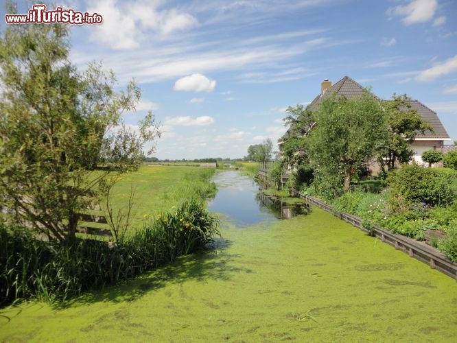 Immagine Campagne dello Zuid Holland intorno a Gouda