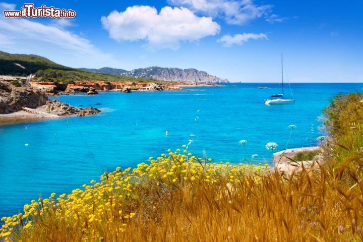 Immagine Canale d'en Marti, il piccolo "fiordo" che conduce alla Playa Lleo di Ibiza. Località isole Baleari, Spagna - © holbox / Shutterstock.com