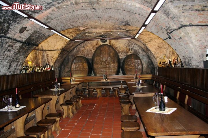 Immagine Cantina a Radenci in Slovenia. In questo territorio gli appassionati di enologia potranno trovare interessanti itinerari alla scoperta di eccellenti vini - Foto di Giulio Badini