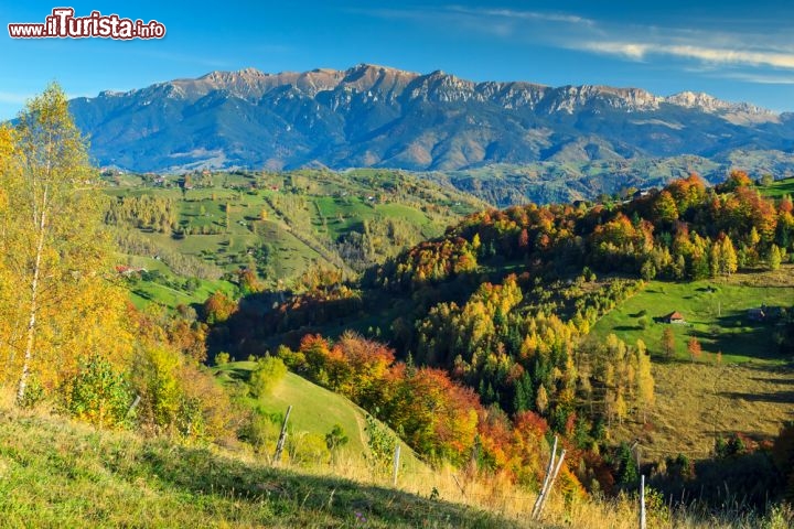 Immagine Scenari estivi nei Carpazi, nei dintorni di Bran in Romania  - © Gaspar Janos / Shutterstock.com