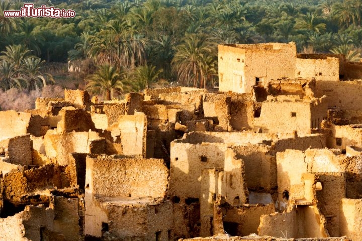 Immagine Case in fango, tipiche del cuore della Oasi di Siwa. Ci trovaimo nel deserto del Sahara, nei pressi della depressione di Qattara, in Egitto - © Nickolay Vinokurov / Shutterstock.com