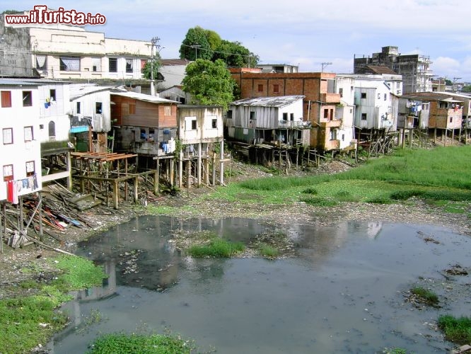 Immagine Case su palafitte a Manaus, la capitale dello stato di Amazonas, in Brasile - © guentermanaus / Shutterstock.com