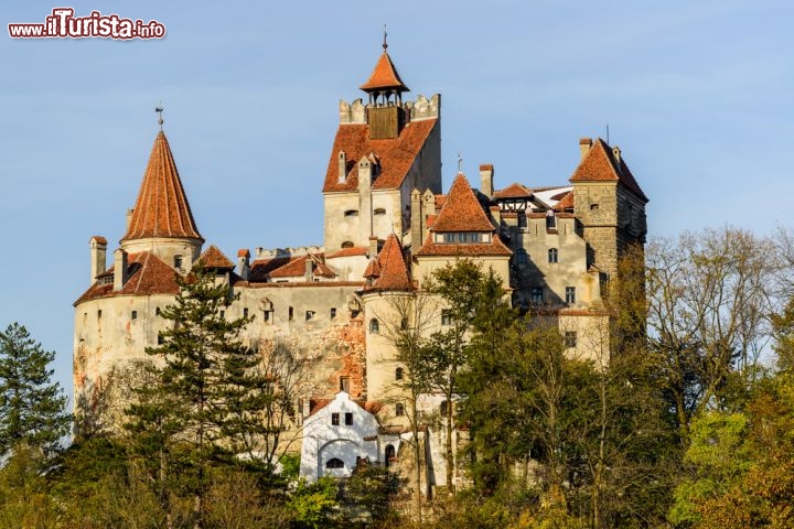 Immagine Il Castello di Dracula a Bran in Romania  - © Christian Draghici / Shutterstock.com