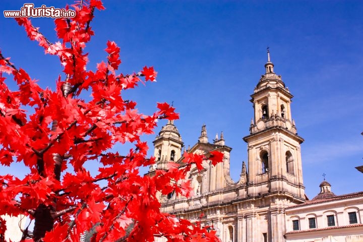 Immagine La Cattedrale Metropolitana dell'Immacolata fotografata in autunno a Bogotà, Colombia - Architettura in stile coloniale e dettagli interni di grande prestigio per questo edificio religioso, dichiarato anche monumento nazionale proprio per il suo valore storico e artistico, situato nella famosa Plaza de Bolivar nel cuore della capitale © Toniflap / Shutterstock.com