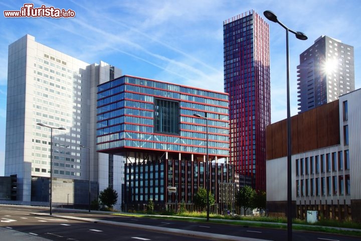 Immagine Il centro moderno di Rotterdam, con il grande il palazzo Red Apple. Siamo in Olanda - Igor Plotnikov / Shutterstock.com