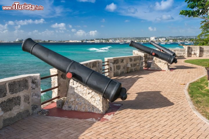 Immagine I cannoni del Charles Fort a Bridgetown, capitale di Barbados, dal 2011 dichiarata Patrimonio dell'umanità dall'UNESCO - © Philip Willcocks / Shutterstock.com