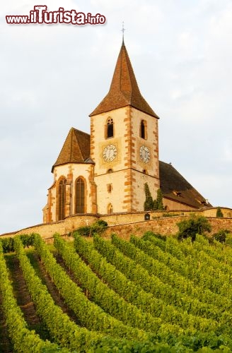 Immagine I vigneti di  Hunawihr circondano questa splendida chiesa fortificata dell'Alsazia, in Francia - © PHB.cz (Richard Semik) / Shutterstock