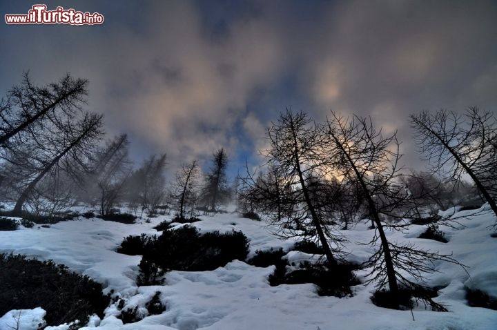 Immagine Colle San Carlo, passaggiata invernale a La Thuile: il magico momento del tramonto nel bosco 