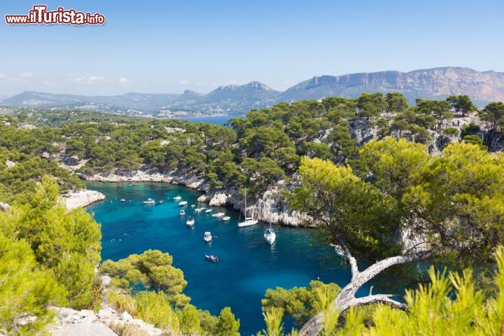 Immagine Costa Azzurra: il mare cristallino de Les Calanques, il Parco Nazionale che si estende tra Marsiglia, Cassis e La Ciotat in Francia - foto © Samuel Borges Photography / Shutterstock.com